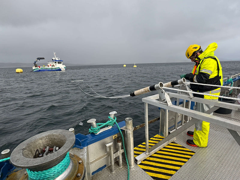 Kelp cultivation lines being deployed at sea off Northern Norway, showing how Arctic winged kelp is farmed on ropes without land, fresh water or fertiliser.